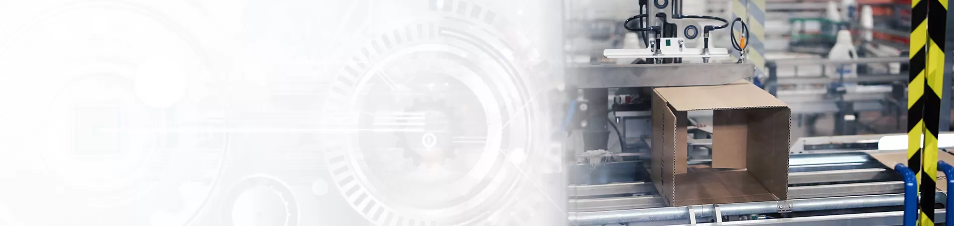 Produce Packaging Boxes