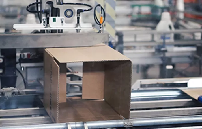 Produce Packaging Boxes